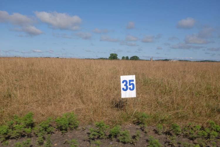 Listing Image 65