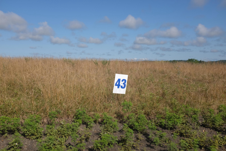 Listing Image 68