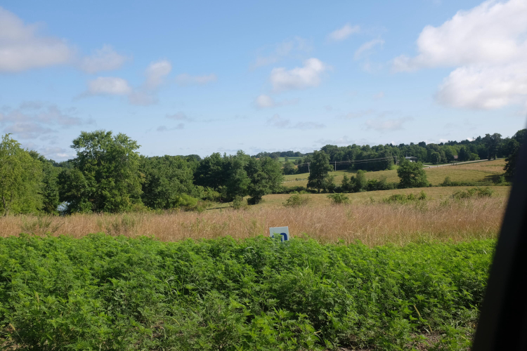 Listing Image 71