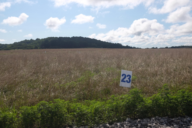 Listing Image 74