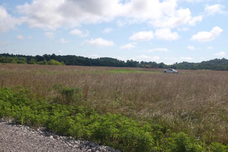 Listing Image 75