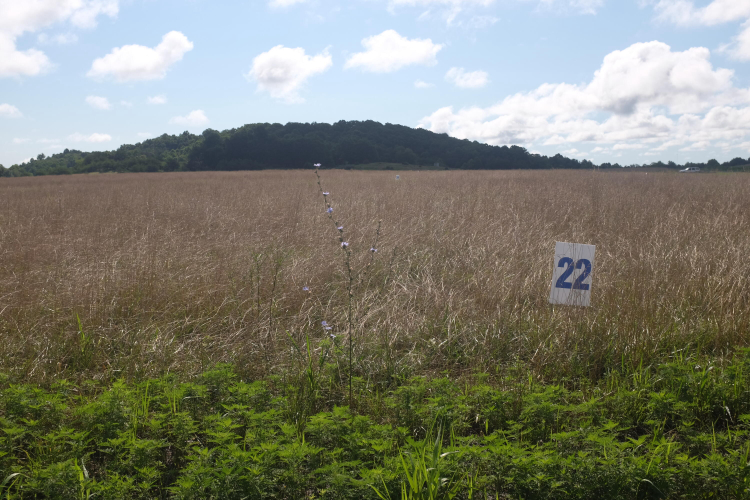 Listing Image 76
