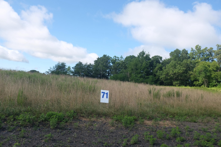 Listing Image 80