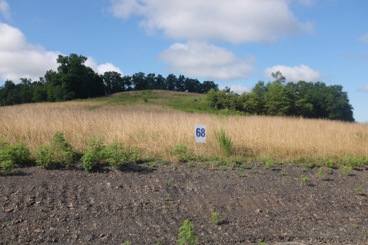 Listing Image 87