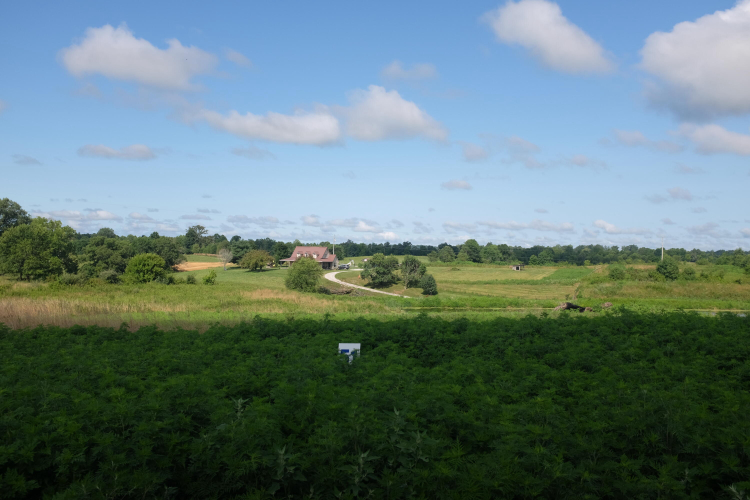 Listing Image 46