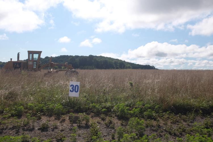 Listing Image 71