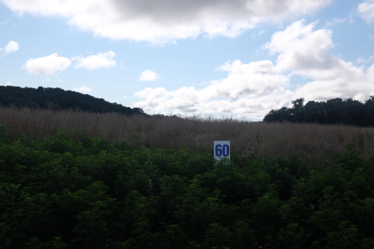 Listing Image 28