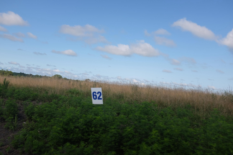 Listing Image 39