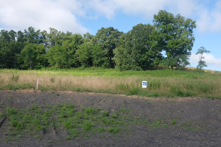 Listing Image 56