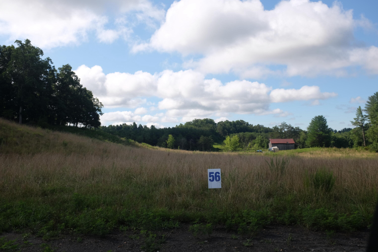 Listing Image 46