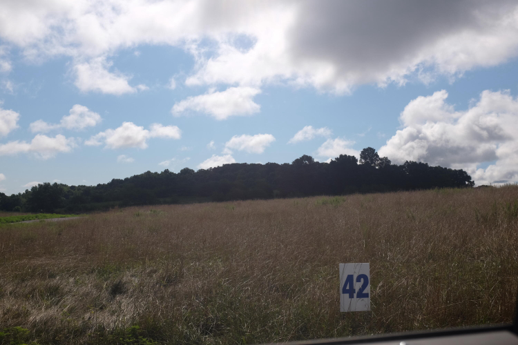 Listing Image 26