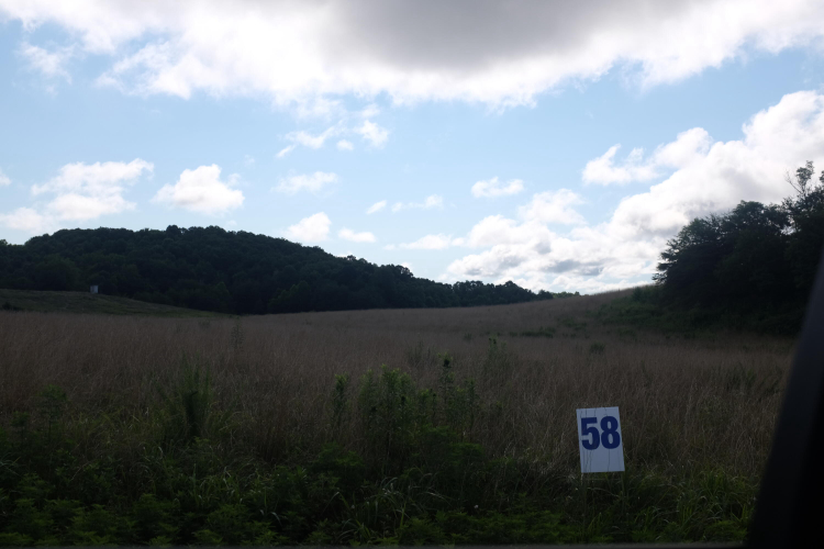 Listing Image 46