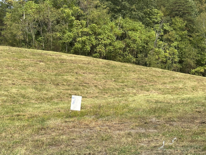 Listing Image 94