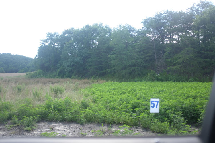 Listing Image 22