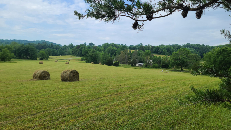 Listing Image 17