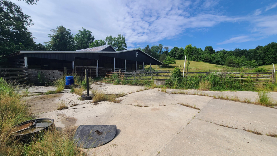 Listing Image 25