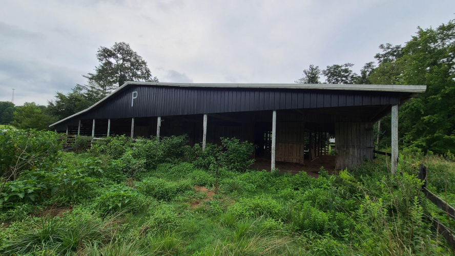 Listing Image 40