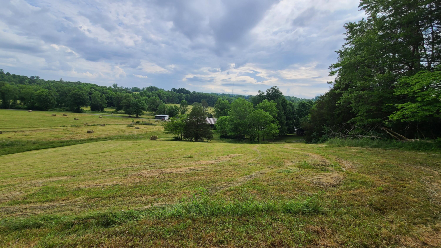 Listing Image 8
