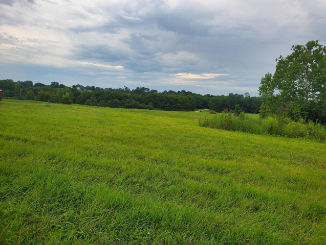 Listing Image 24