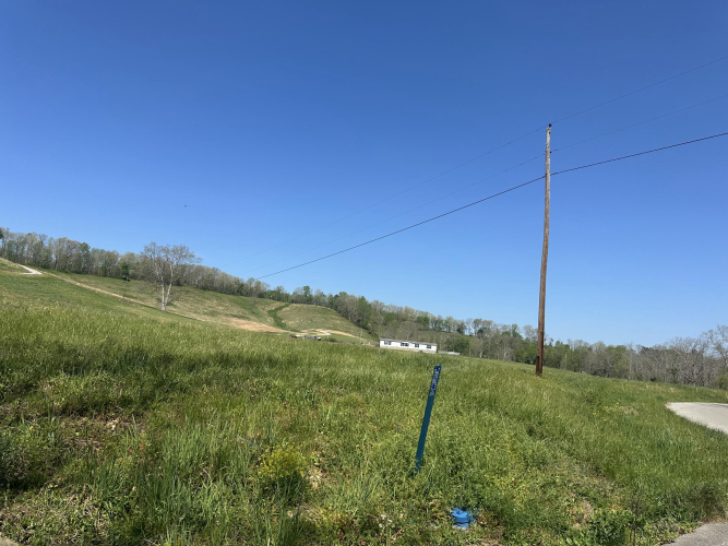 Listing Image 18