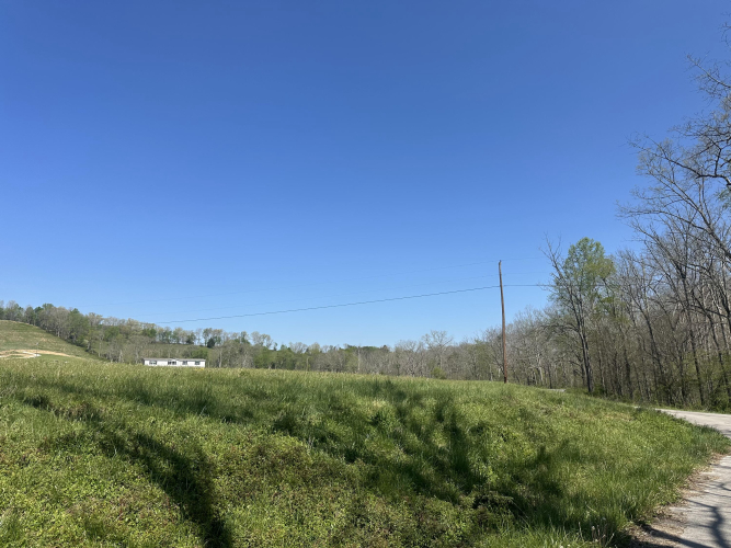 Listing Image 19
