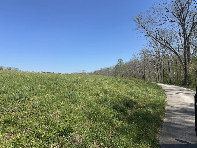 Listing Image 24