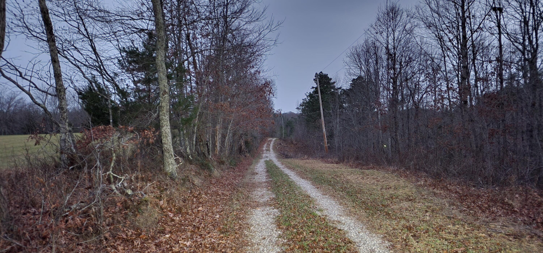 Listing Image 13