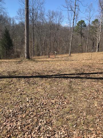 Listing Image 33