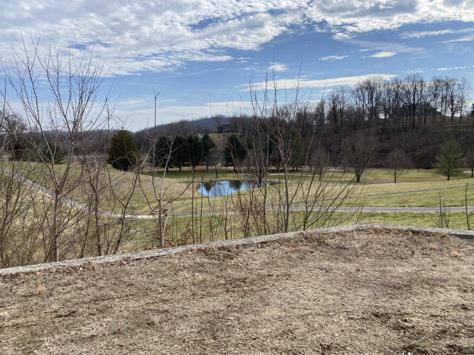 Listing Image 33