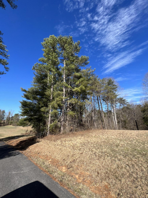 96 Captains Point Jamestown KY 42629 MLS 23002671