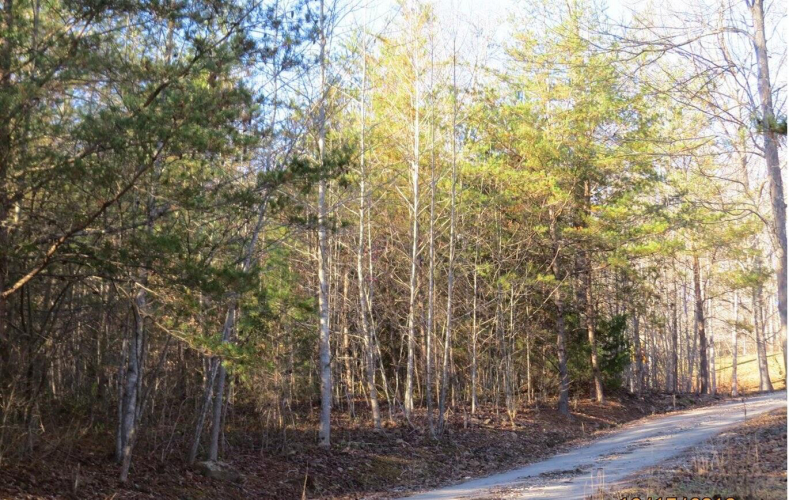 0 Hickory Ridge Estates Wallins KY 40873 MLS 23002990