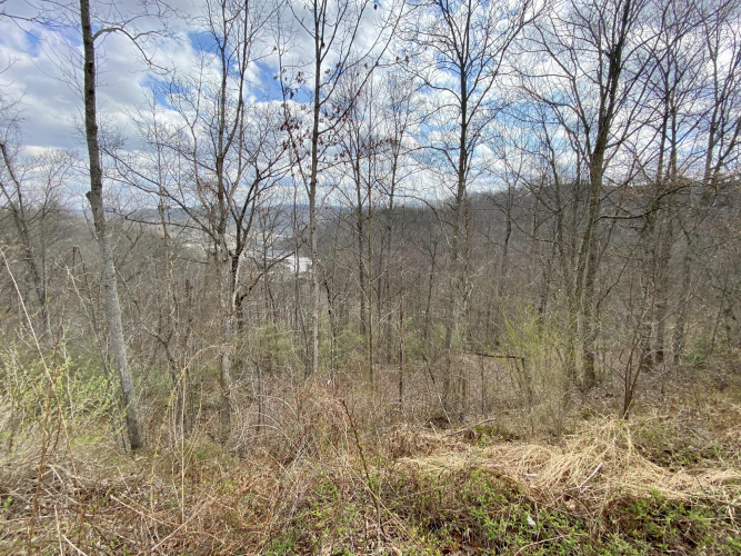 o Jack Lot Hollow Hazard KY 41701 (House For Sale) | MLS 23007191