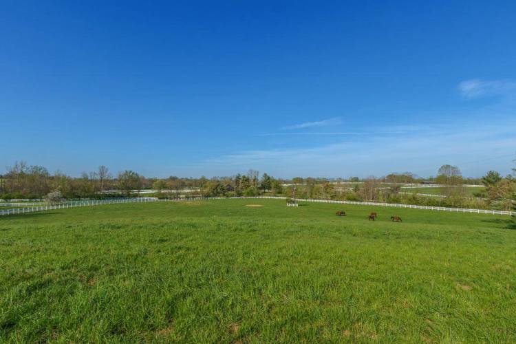 2200 Muir Station Road Lexington KY 40516 MLS 23007534