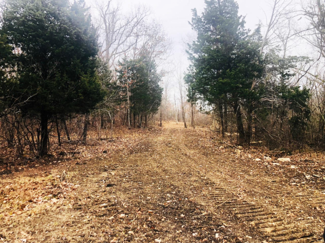 Listing Image 25