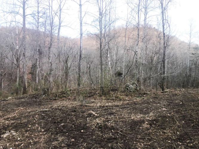 Listing Image 31