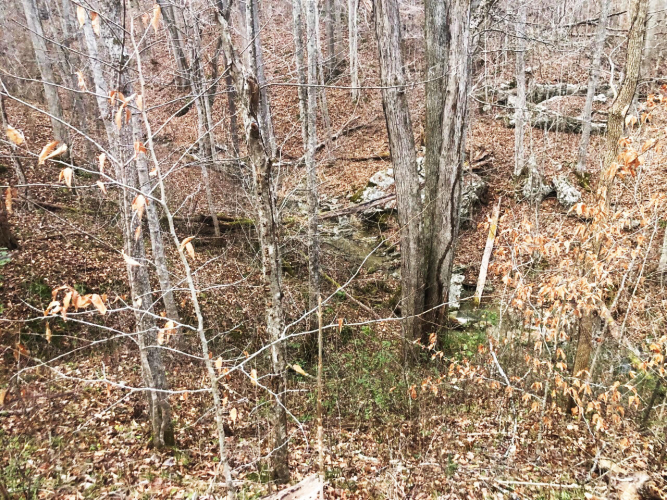 Listing Image 33