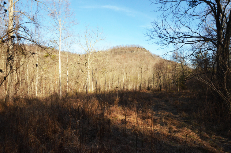 Listing Image 39