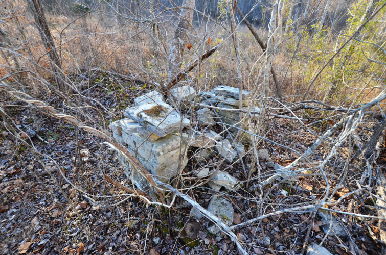 Listing Image 40