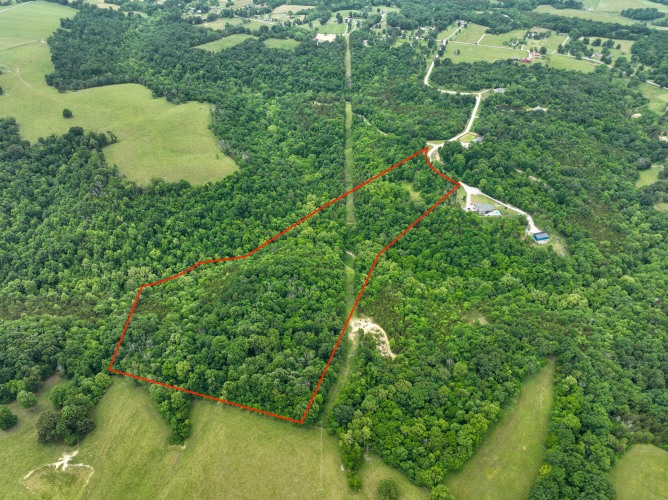 Listing Image 23