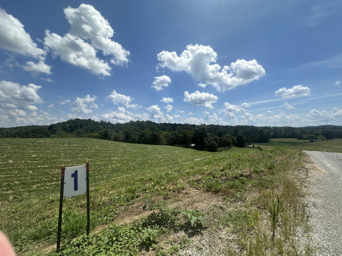 Listing Image 11