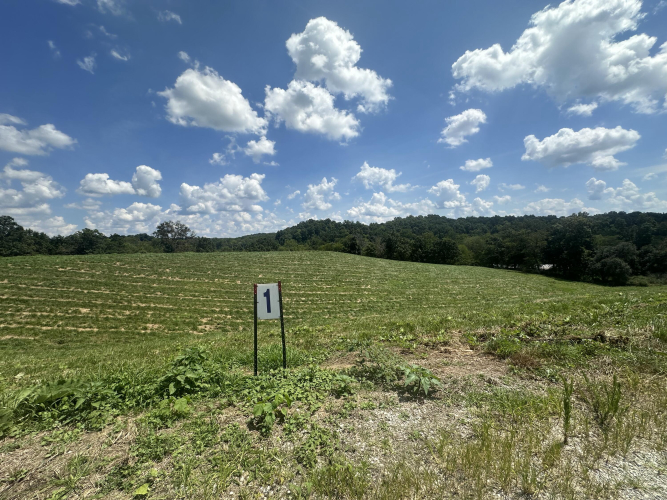 Listing Image 12