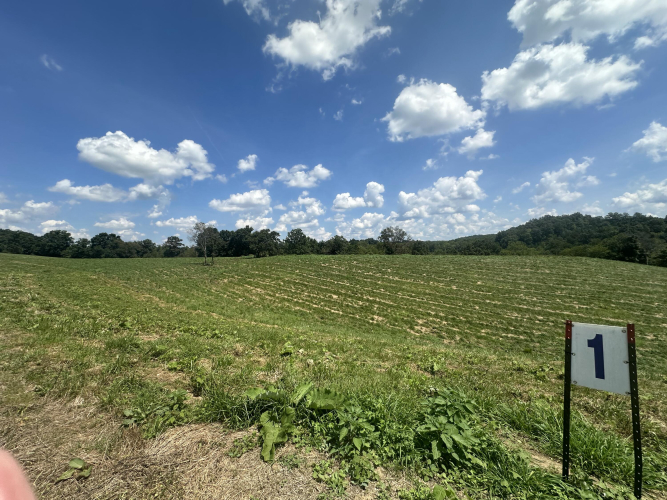 Listing Image 13