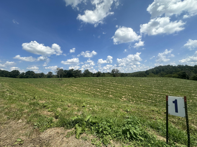 Listing Image 16