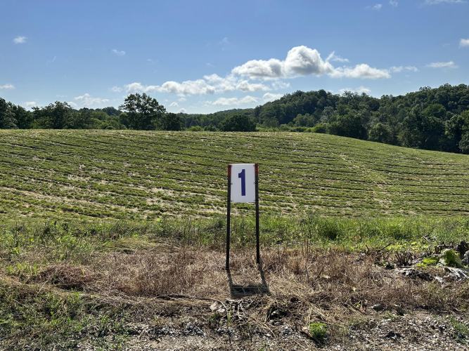 Listing Image 17