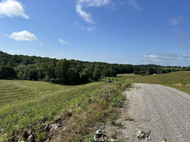 Listing Image 18