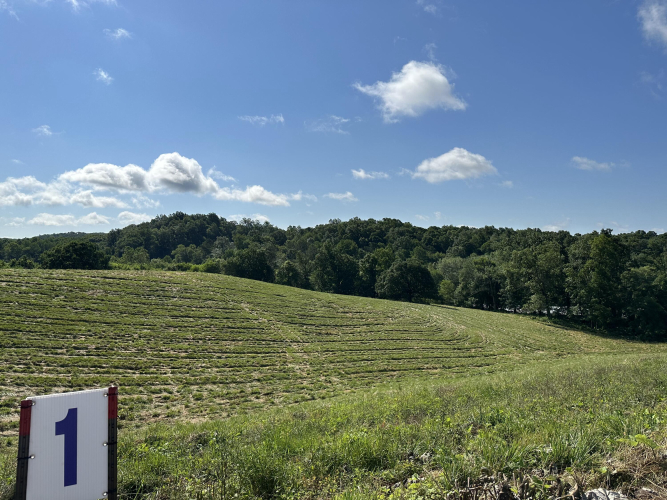Listing Image 19