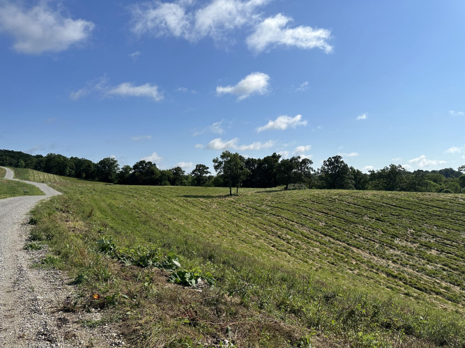 Listing Image 20