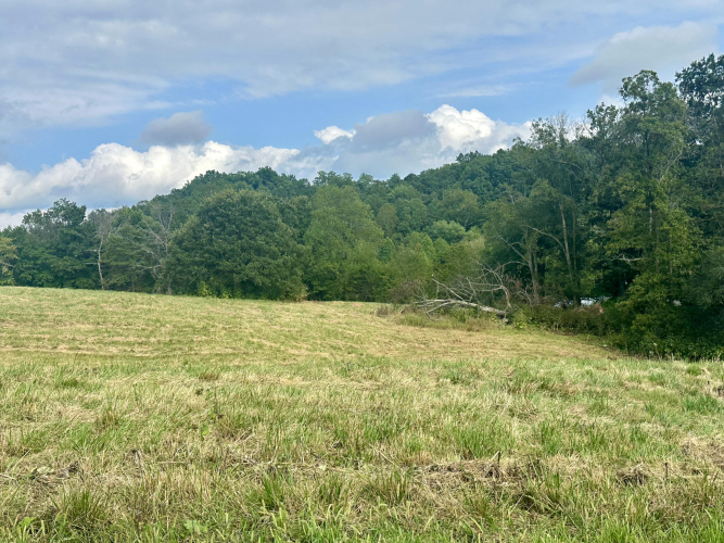 Listing Image 25