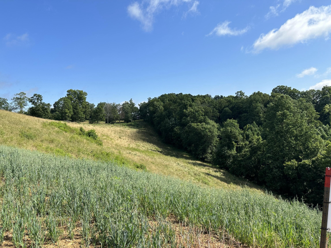 Listing Image 16