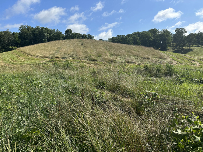 Listing Image 17